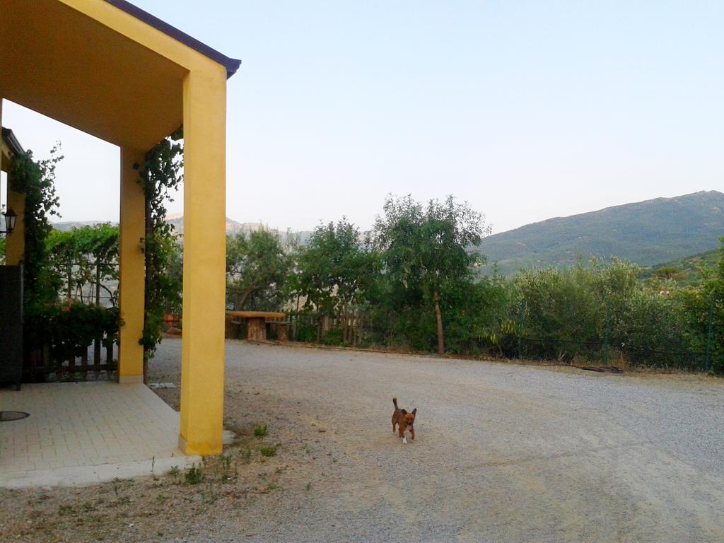קסטלבונו Villaggio Dei Balocchi מראה חיצוני תמונה