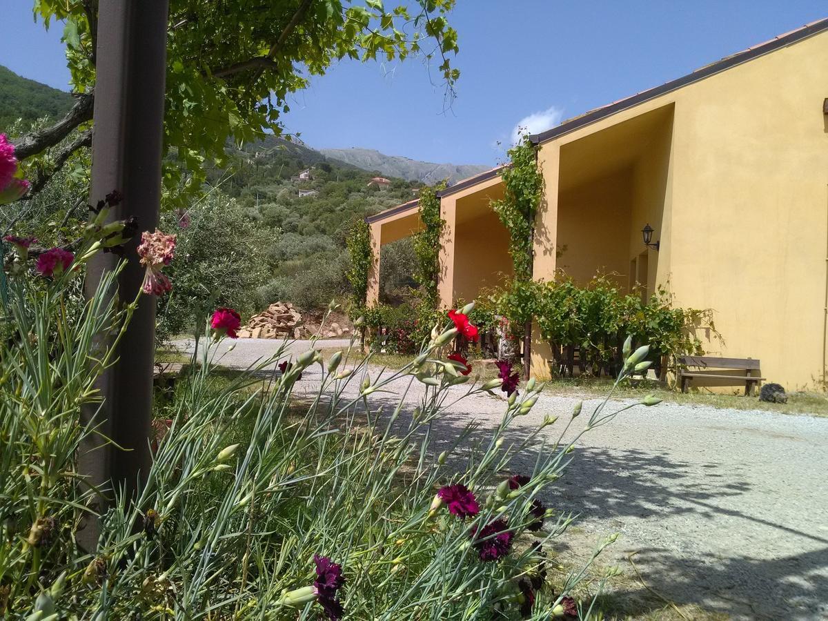 קסטלבונו Villaggio Dei Balocchi מראה חיצוני תמונה