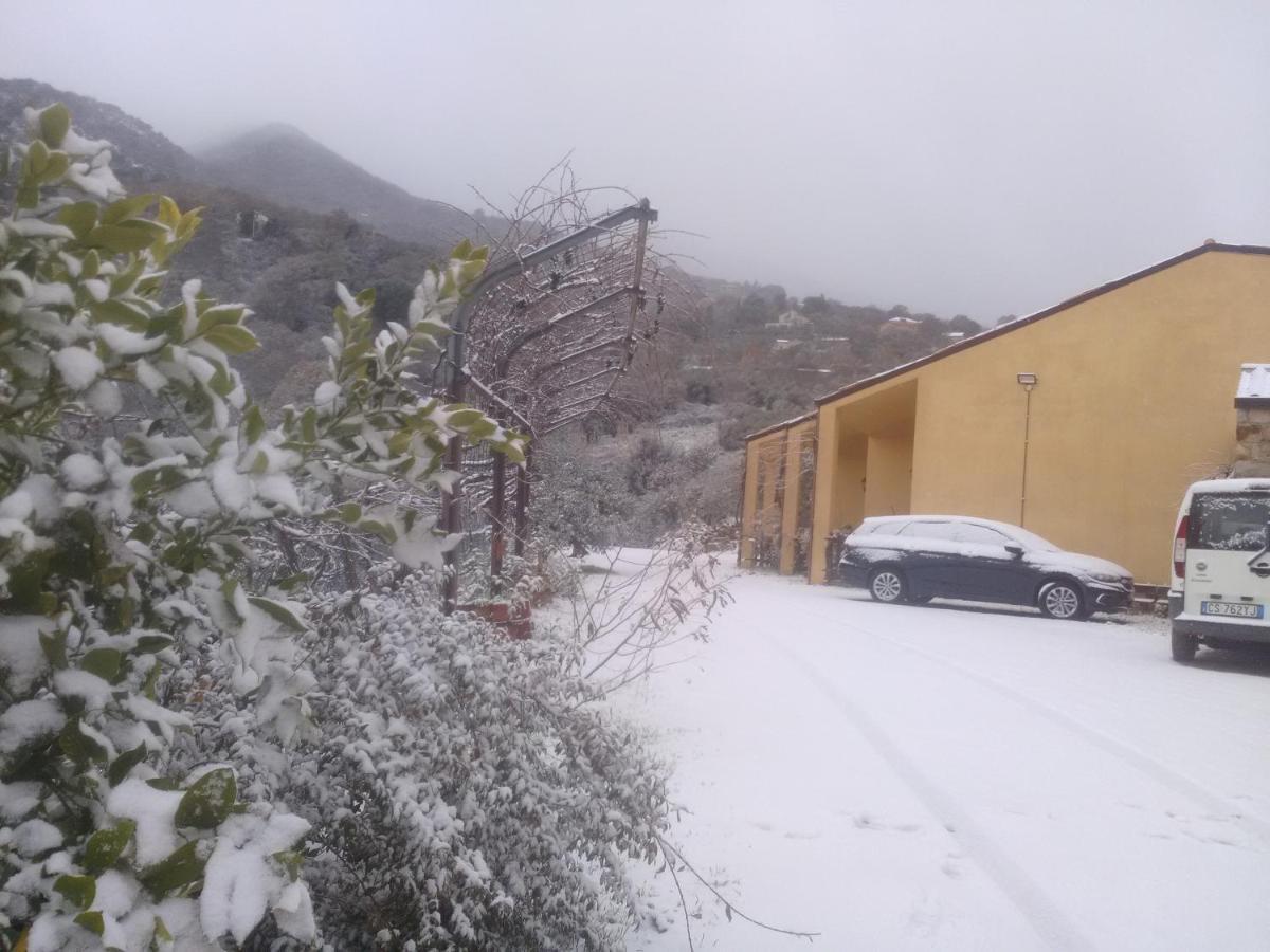 קסטלבונו Villaggio Dei Balocchi מראה חיצוני תמונה